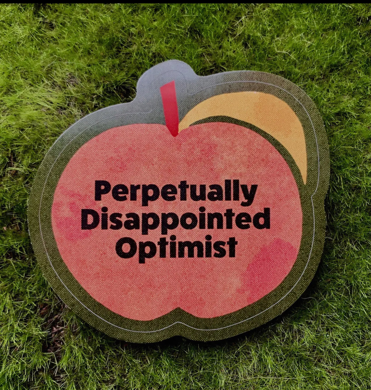 Perpetually Disappointed Optimist